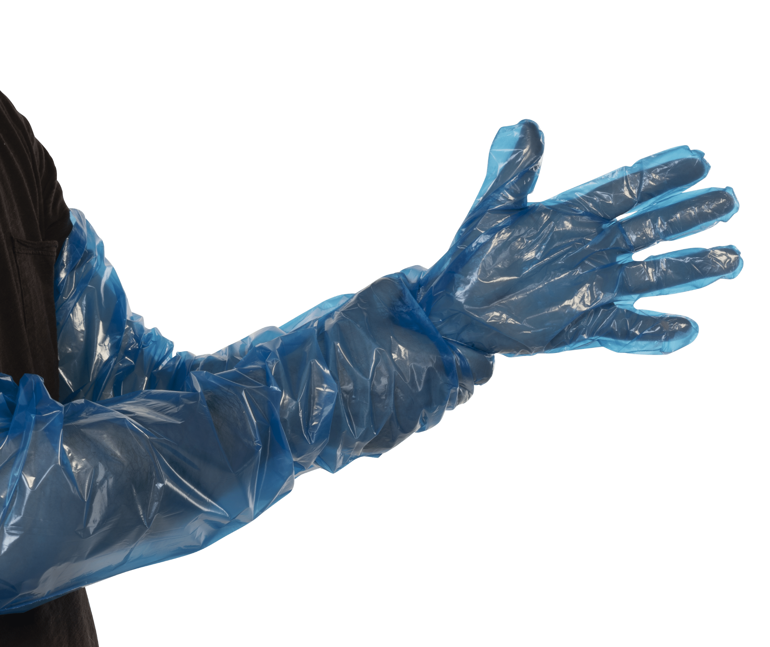 Gants PE bleus